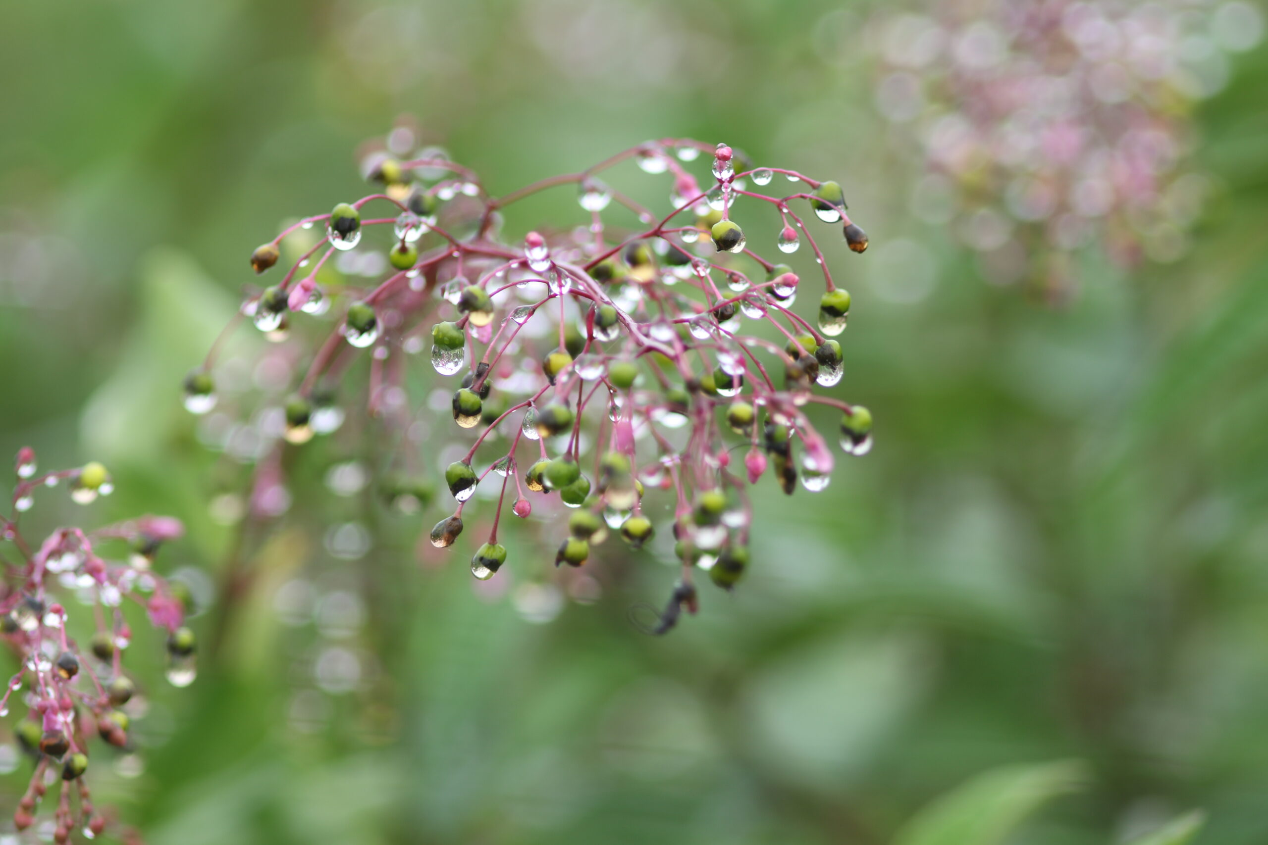 Tradição que se renova, compromisso que permanece